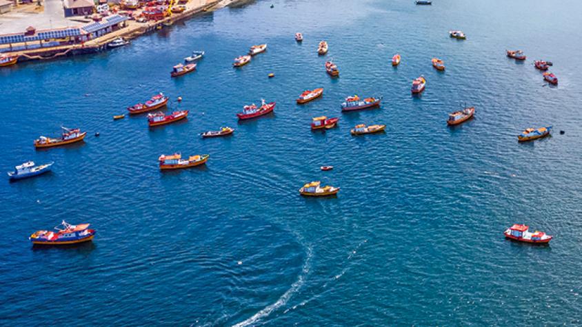 Gobierno presenta nueva Ley de Pesca: redefinirá fraccionamiento entre sectores industrial y artesanal