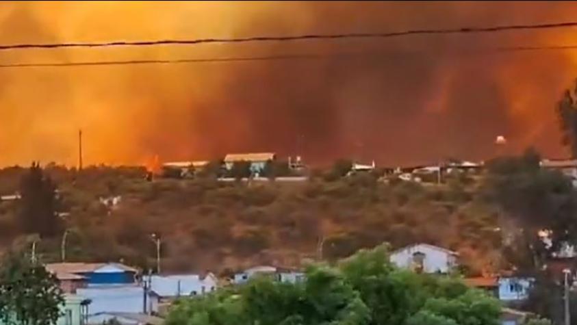 Incendio forestal en Limache: Evacúan a 20 personas desde hospital geriátrico