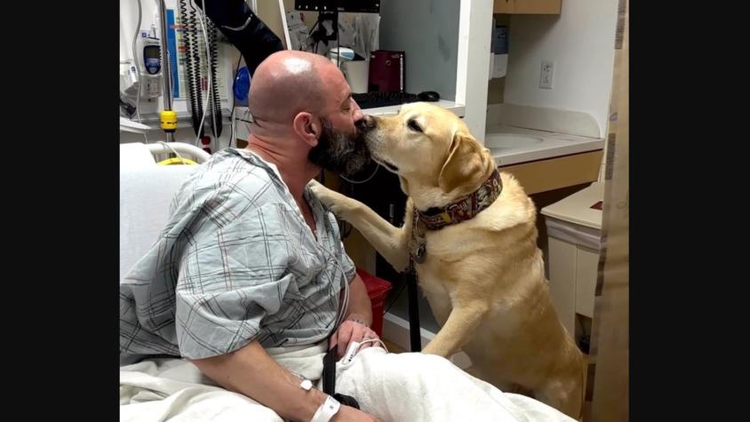 "Lo amo más de lo que pueda imaginar": Perro se mantuvo 24/7 con su amo enfermo del corazón en el hospital
