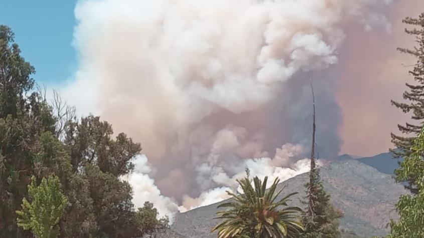 Incendio en Quilpué: Delegado presidencial afirma que ya se quemaron más de 1.100 hectáreas