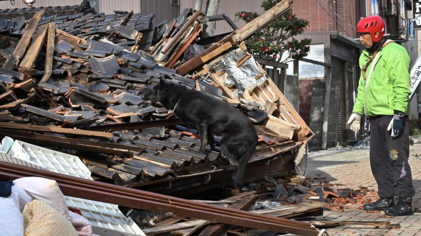Perro encuentra y rescata a anciana atrapada en una casa tras terremoto en Japón