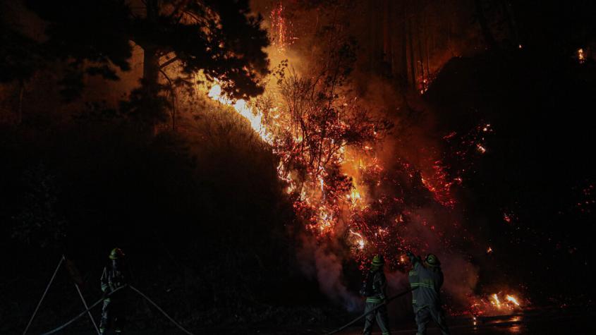 Declaran Alerta Roja en Chonchi tras incendio forestal que afecta el sector
