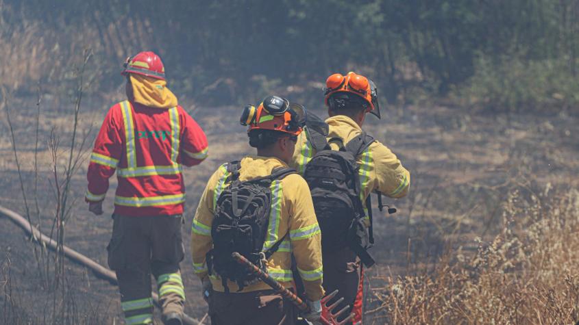Incendios forestales en el país disminuyeron un 33% en lo que va de temporada