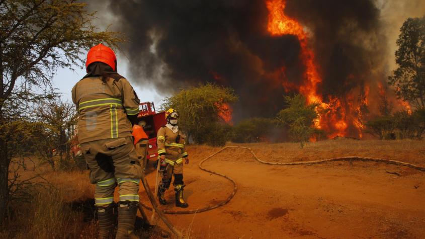Cifras de incendios forestales "están mejor que el año anterior" de acuerdo a la Conaf