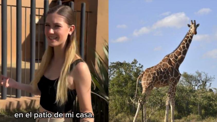 Influencer mexicana presumió tener una jirafa como mascota y generó indignación en redes