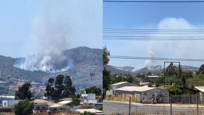 Se registra incendio forestal en Quilpué: Afecta los sectores La Cabras y Belloto Norte