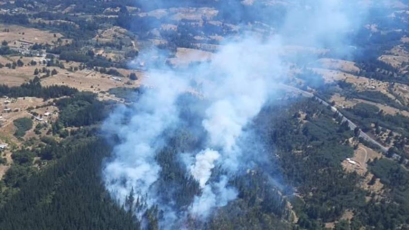 Alerta roja para Yumbel por incendio forestal: Se encuentra cercano a sectores poblados