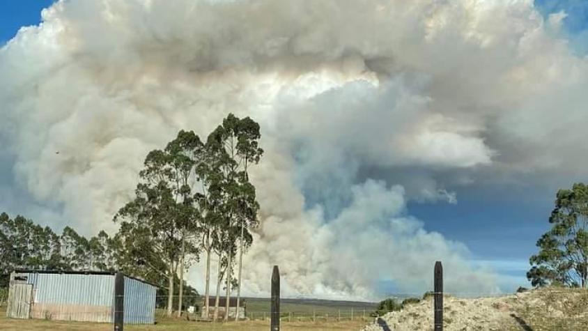 Alerta roja en Puerto Montt: Senapred ordena evacuar dos sectores por incendio forestal