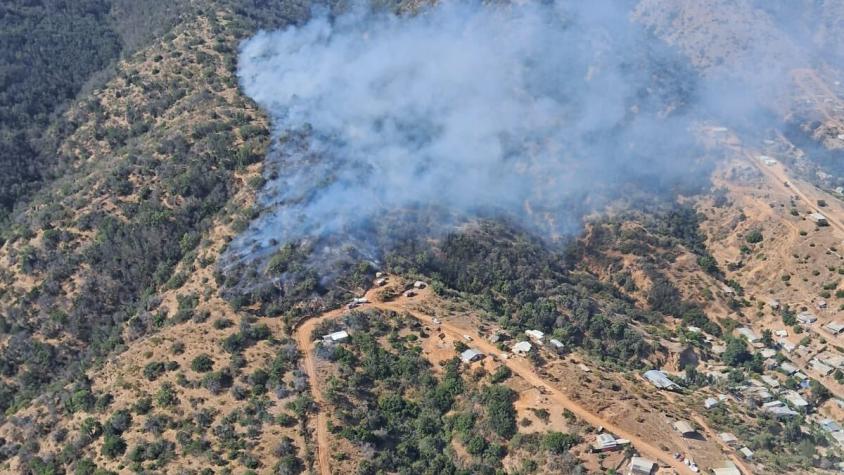 Alerta Roja por incendio forestal próximo a viviendas en Limache: Trabajan 11 aeronaves en el sector