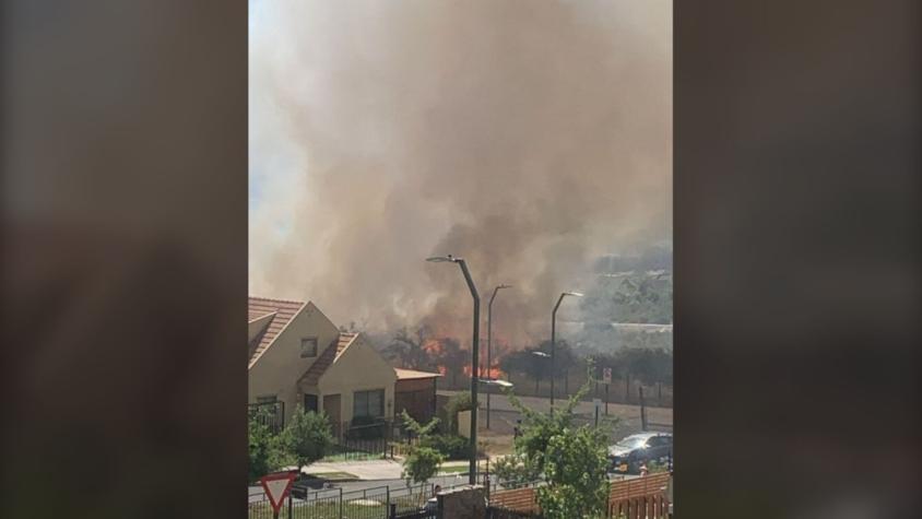 Incendio forestal declarado en sector Alto Macul: Se encontraría cercano a viviendas