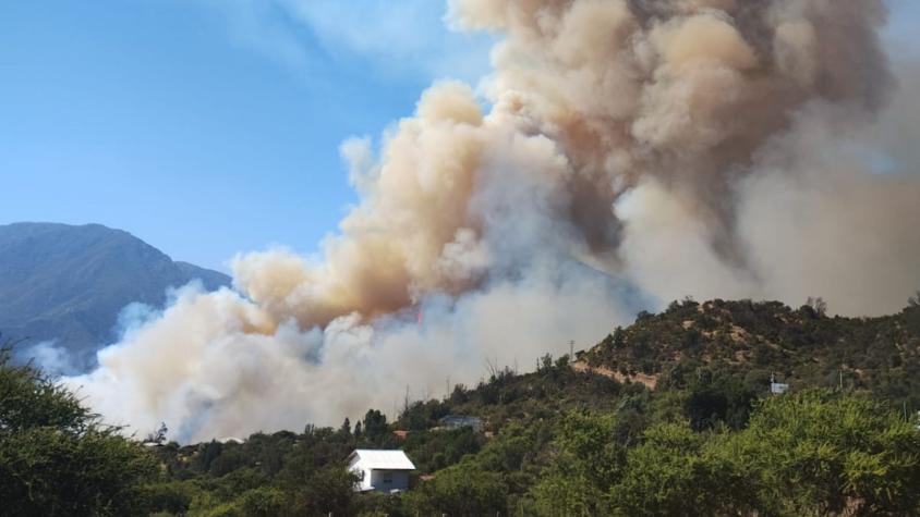 Incendio forestal en Quilpué: Autoridades reportaron un detenido y origen sería "negligencia"