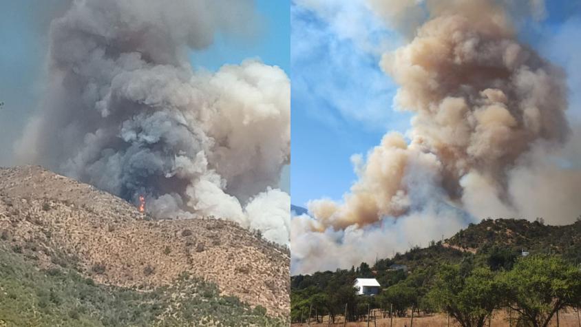 Declaran alerta roja por incendio forestal en Quilpué: amenaza casas por “comportamiento extremo”
