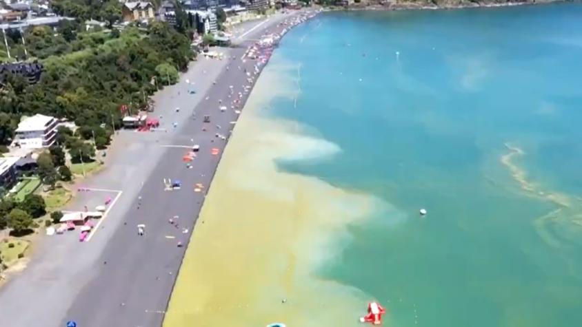 Colmed llama a la población a no bañarse en el Lago Villarrica ante bloom de algas