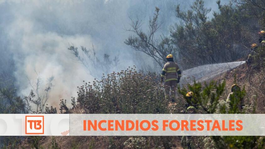 Incendios forestales en Chile: Senapred ha declarado al menos 4 alertas rojas vigentes