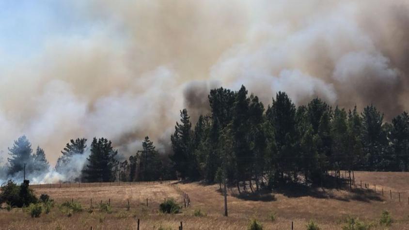 Declaran alerta roja para Galvarino, región de La Araucanía, por incendio forestal