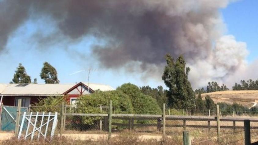 Senapred ordena evacuar sectores de la comuna de Navidad por incendio forestal