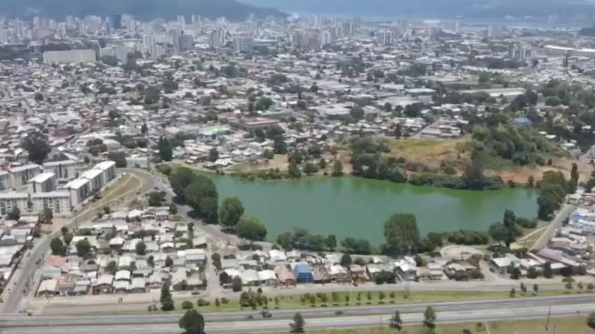 Alerta sanitaria en Laguna Lo Méndez de Concepción: Agua está verde