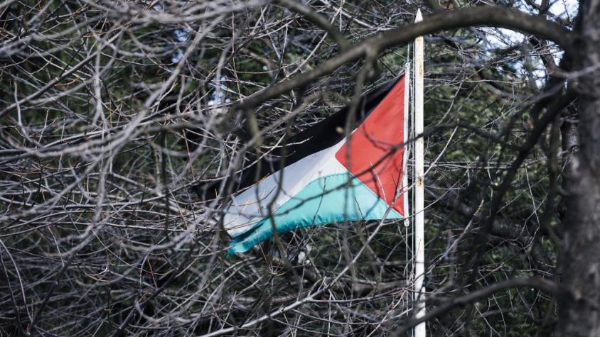Cuatro países árabes piden pasos "irreversibles" hacia el reconocimiento de un Estado palestino