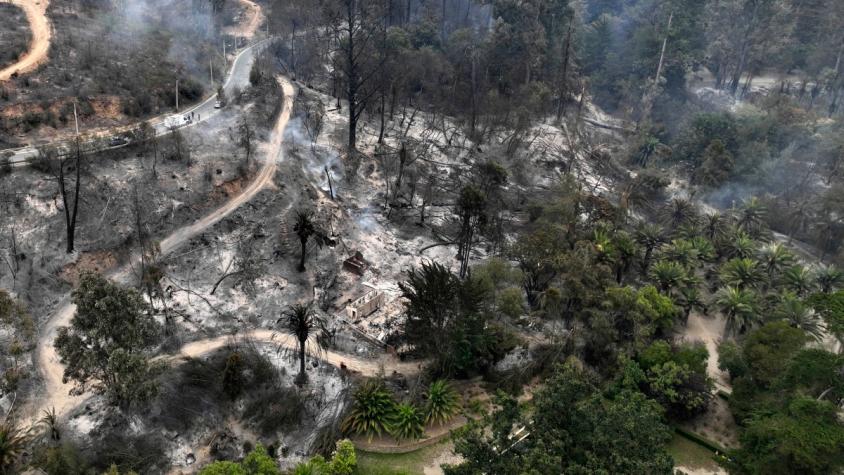 Imágenes aéreas captan la destrucción del Jardín Botánico de Viña del Mar tras incendios forestales