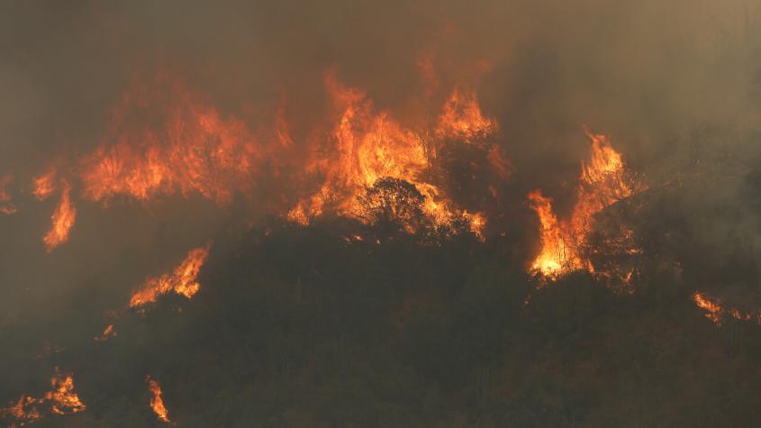 Carabineros detiene a una persona por incendios forestales en Región del Maule