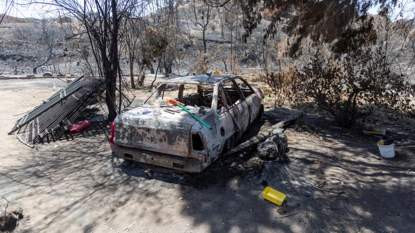 Incendios forestales: Cómo es la propuesta de reconstrucción presentada por ex asesores de Piñera 