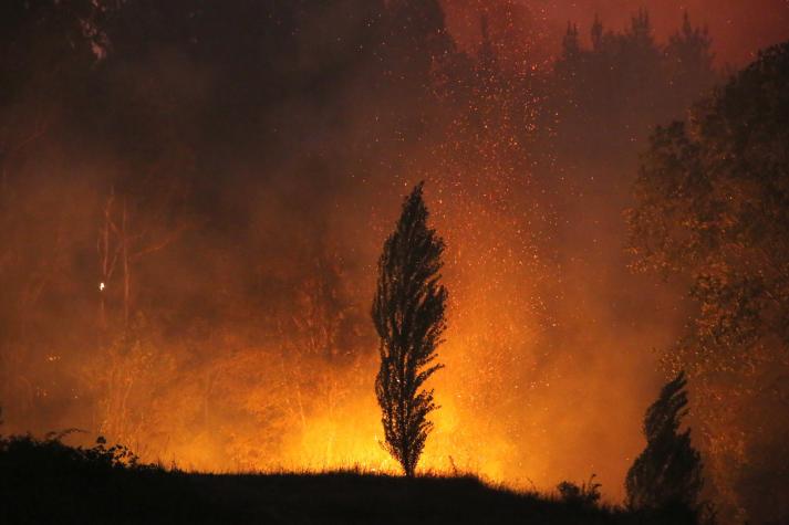 Dr. Sebastián Ugarte explica la diferencia entre pirómanos e "incendiarios", a raíz de los incendios forestales