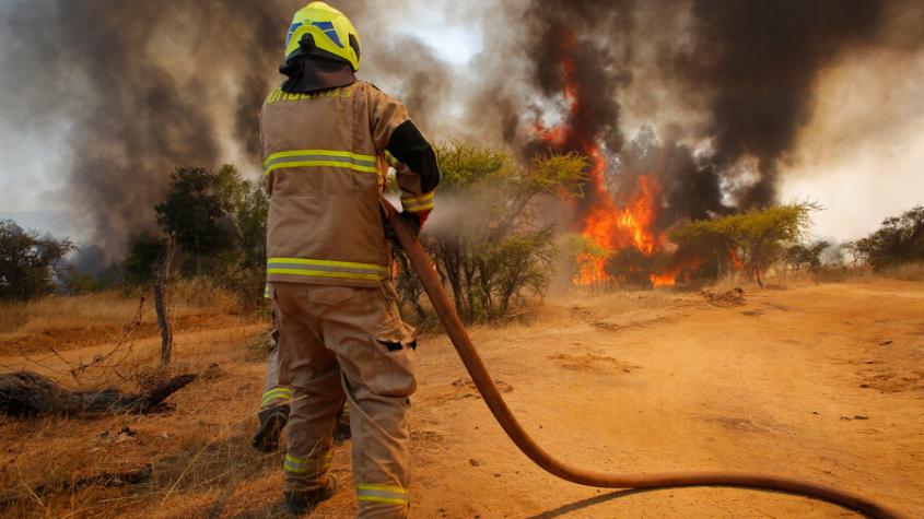 Reportajes T13: Desastre por incendios forestales, las advertencias que no se escucharon 