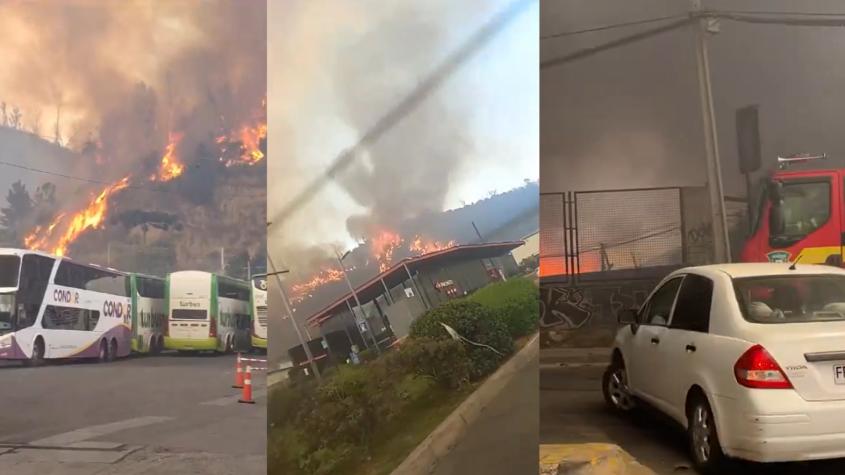 Incendio forestal pone en riesgo una bencinera y bodega de buses en Viña del Mar