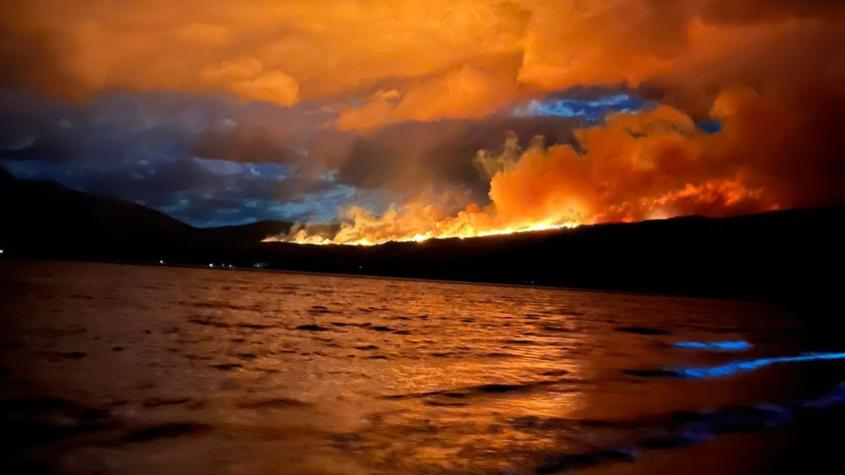 Incendio forestal arrasa más de 3.000 hectáreas de bosque nativo en Patagonia argentina