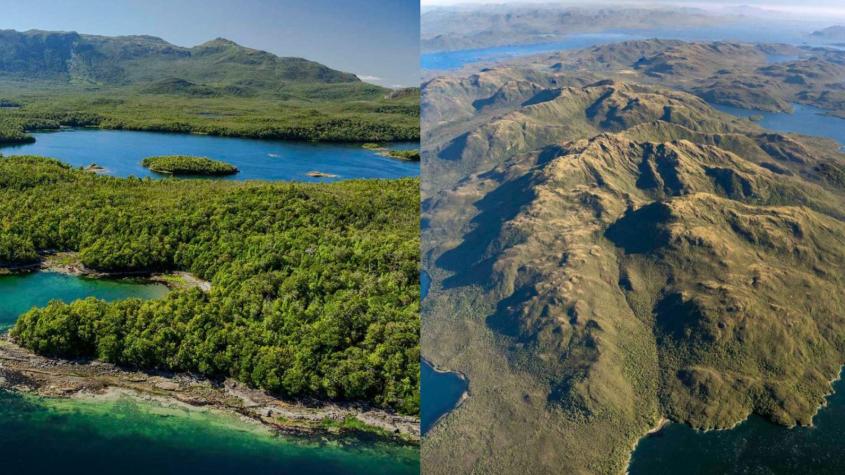 Venden por 35 millones de dólares "isla virgen" en el sur de Chile: Se trataría de la Isla Traiguén