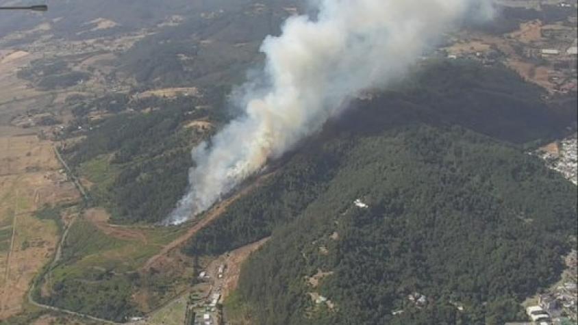 Declaran alerta roja en Temuco: Incendio afecta cercanías del Cerro Ñielol