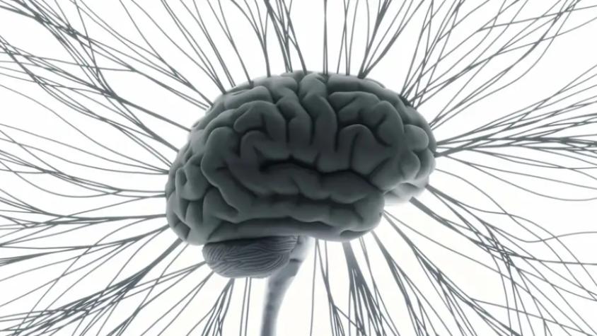 El cerebro sufre un gran "recableado" después de los 40 años