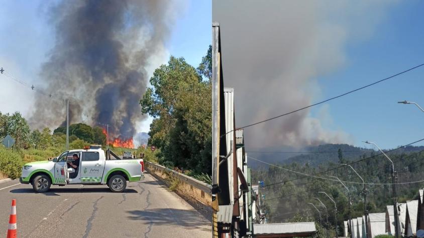 Solicitan evacuar sector en comuna de Purén, en la región de La Araucanía, por incendio forestal