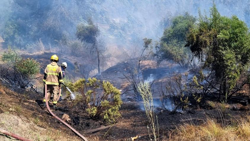 Los impactantes registros de nube de humo en Viña del Mar y Valparaíso por incendio forestal
