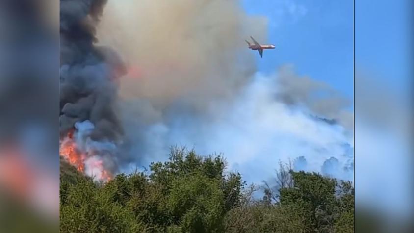 Declaran alerta roja provincial por incendio forestal en Casablanca: Se desarrolla cercano a Lo Vásquez