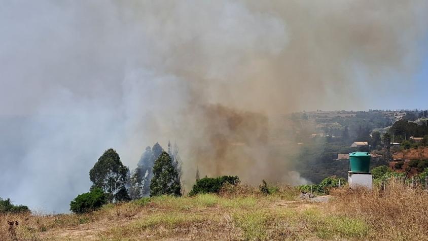Declaran alerta roja para Santo Domingo por incendio forestal