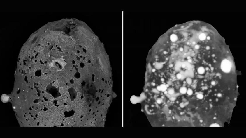 Hallan en Italia "uno de los meteoritos más raros del mundo"