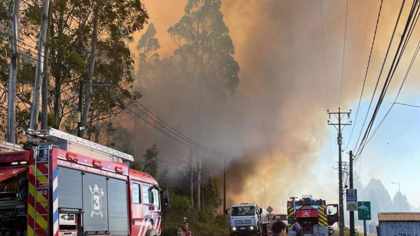 Senapred declara alerta roja para Puerto Montt por incendio forestal