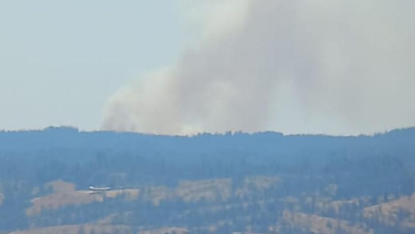 Alerta roja en Hualqui por incendio forestal: Se desarrolla cercano a viviendas