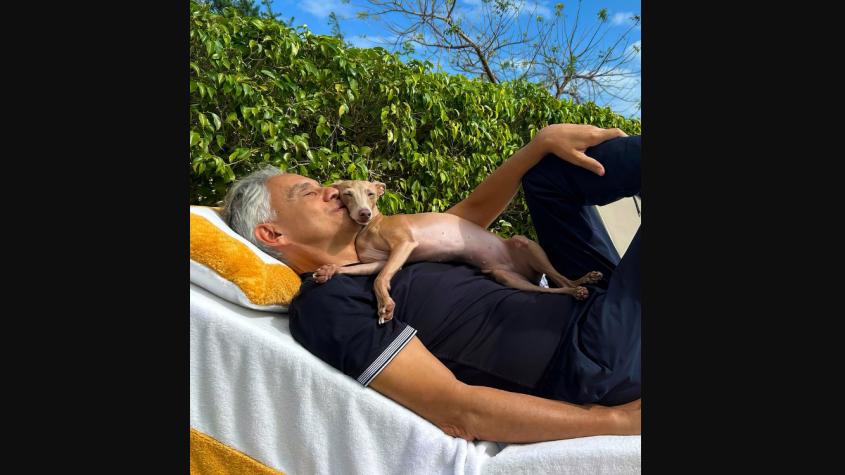 "Ginebra", el tierno perro guía de Andrea Bocelli