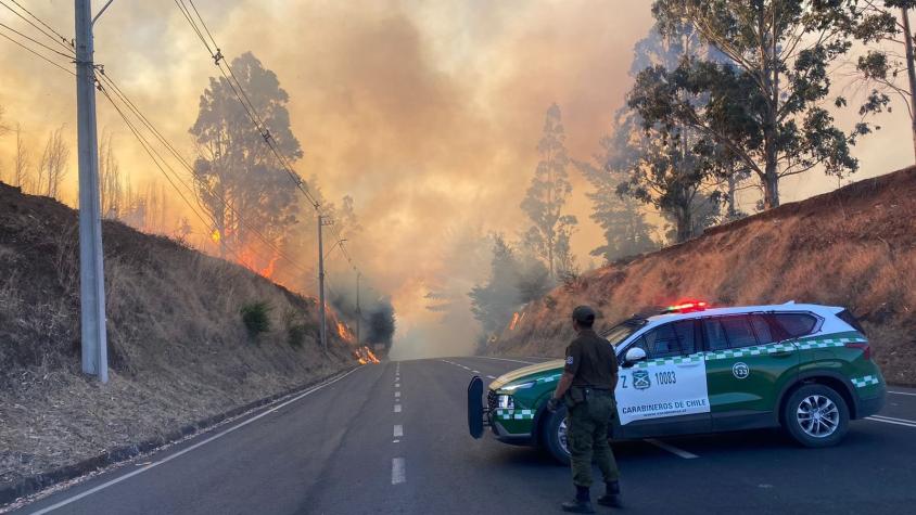 Alcalde de Galvarino pide ayuda ante avance de incendio forestal: "Tenemos mucho miedo que llegue a la ciudad"
