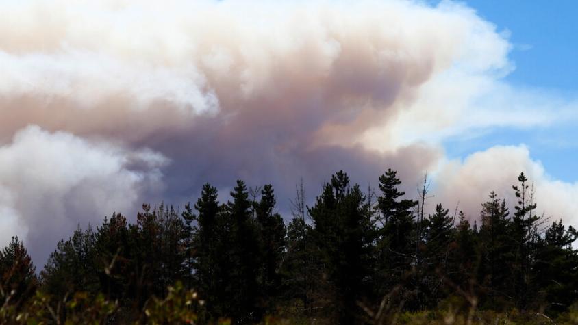 Incendio forestal obliga a cortar la Ruta 68 que une a Santiago y Valparaíso