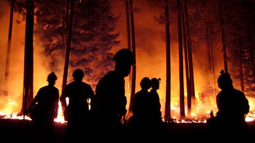 Vida y Salud: Riesgos a la salud frente a los incendios forestales 