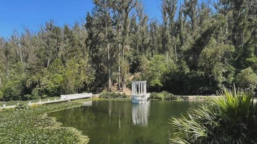 Identifican a trabajadora de Jardín Botánico de Viña del Mar que murió en incendio: Falleció junto a su madre y dos nietos