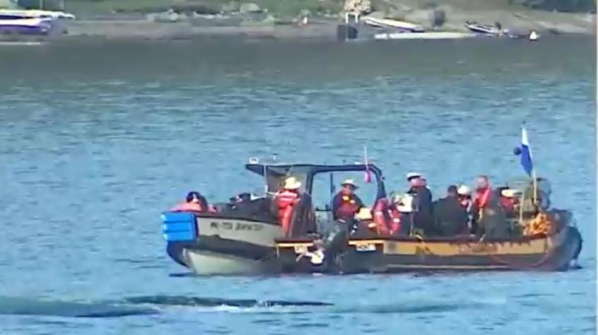Accidente de Sebastián Piñera: Comienzan extracción de helicóptero en Lago Ranco