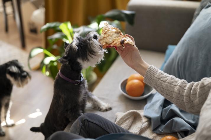 ¿Quieres cuidar la salud de tu mascota? Estos son los alimentos no aptos para perros y gatos