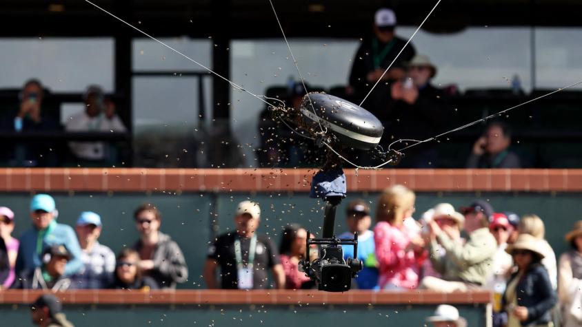 No lo podían creer: Invasión de abejas obliga a suspender partido de tenis en Indian Wells 