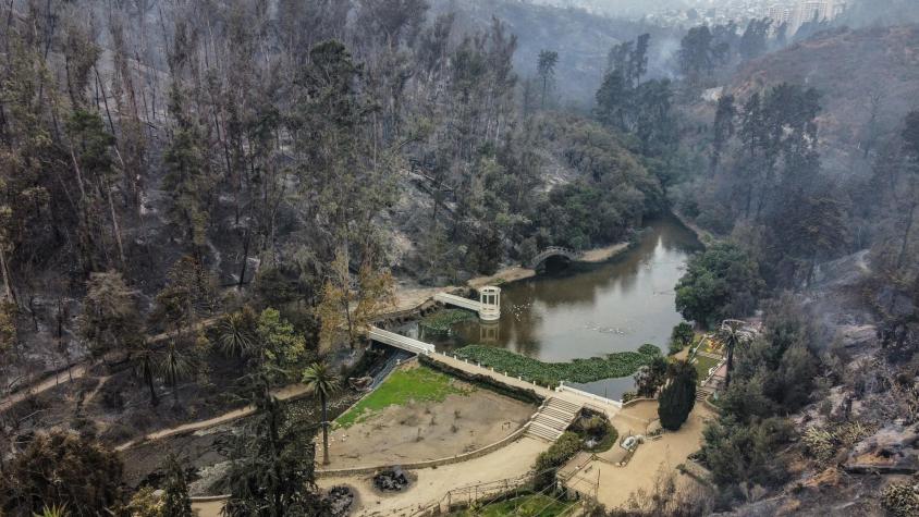 Jardín Botánico de Viña del Mar confirma muerte de segundo trabajador tras incendios forestales de febrero