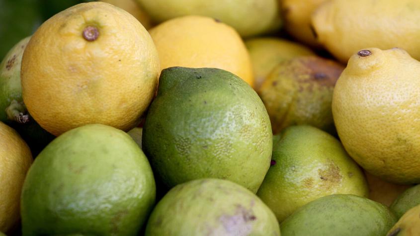 ¡Ácida noticia! El limón llega hasta los $2.500 el kilo