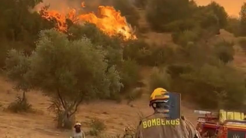 Declaran alerta roja por incendio forestal en Las Cabras en región de O’Higgins